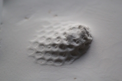 p#_15_03__#045