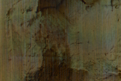 stilla-seis-r_05_10_i__4_1_9606_d1_03