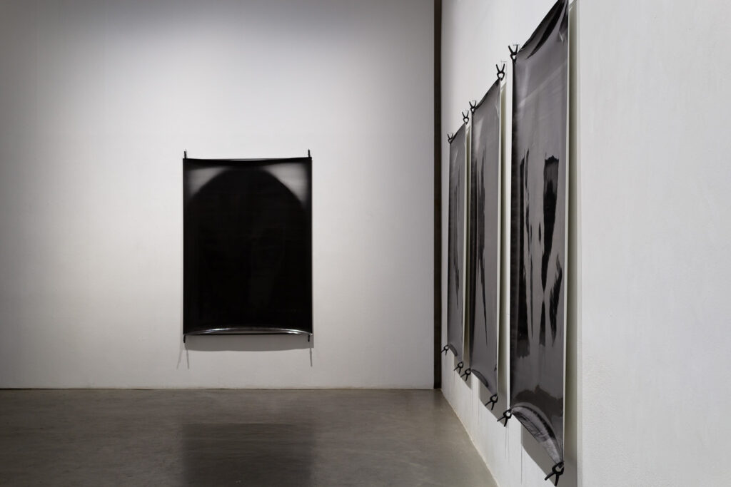 Stilla Seis / f_22_06 / je 174 × 127 cm / Agfa Rapid / Fotogramm / Handentwicklung / 2022 / Künstlerhaus Bergedorf / 2024